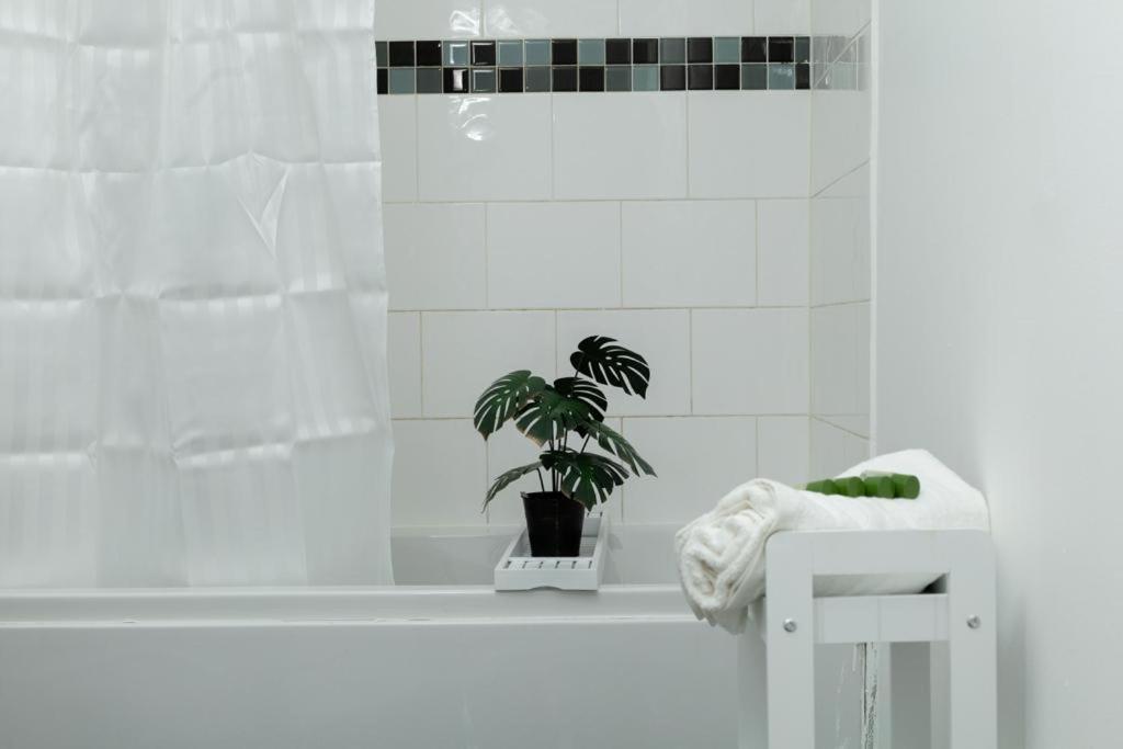 Spacious City Centre 2 Bedroom Apartment - Lt Apartment Leicester Eksteriør billede